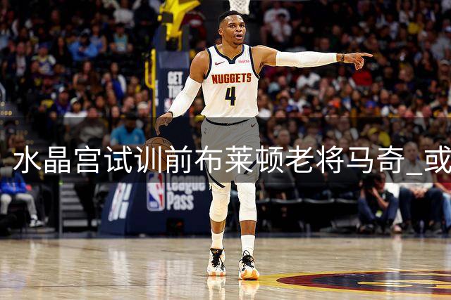 水晶宫试训前布莱顿老将马奇 或免签补强边路